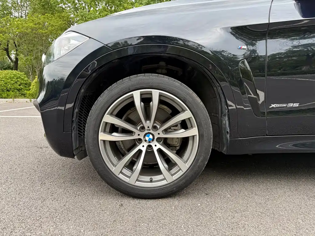 BMW X6 — миниатюра 7