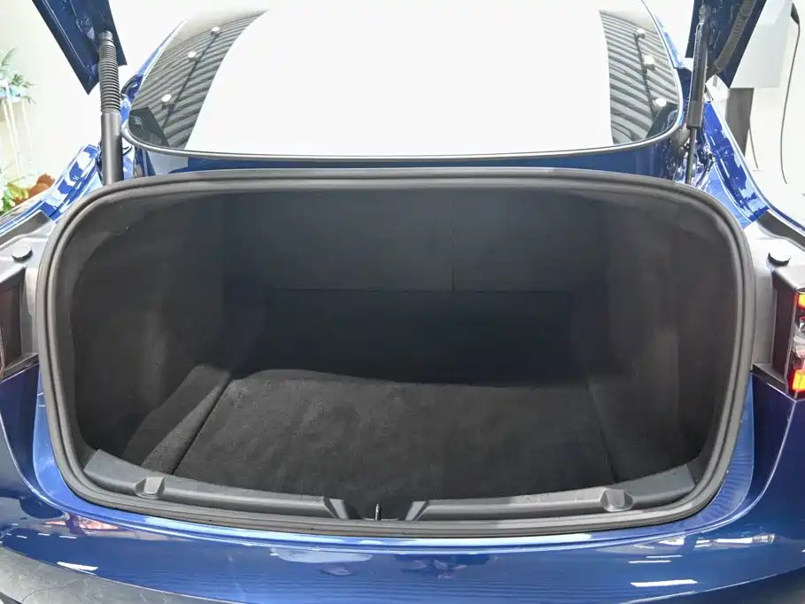 Tesla Model 3 — миниатюра 19