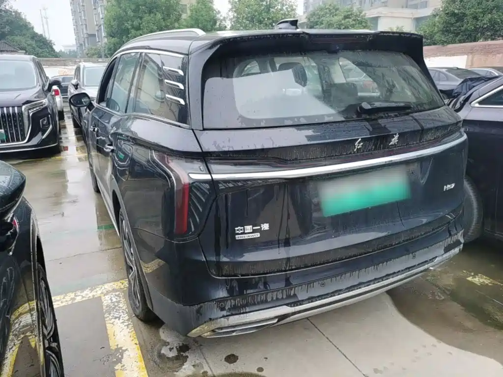 Hongqi Hongqi HS7 PHEV — миниатюра 5