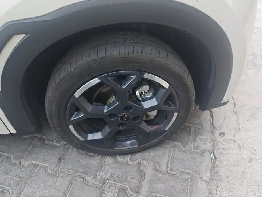 BYD Seagull — миниатюра 6