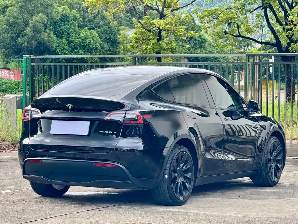 Tesla Model Y — миниатюра 9