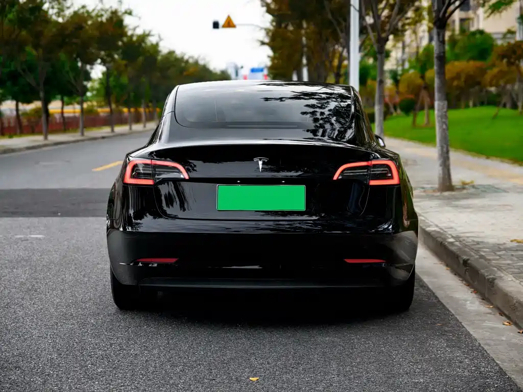 Tesla Model 3 — миниатюра 5