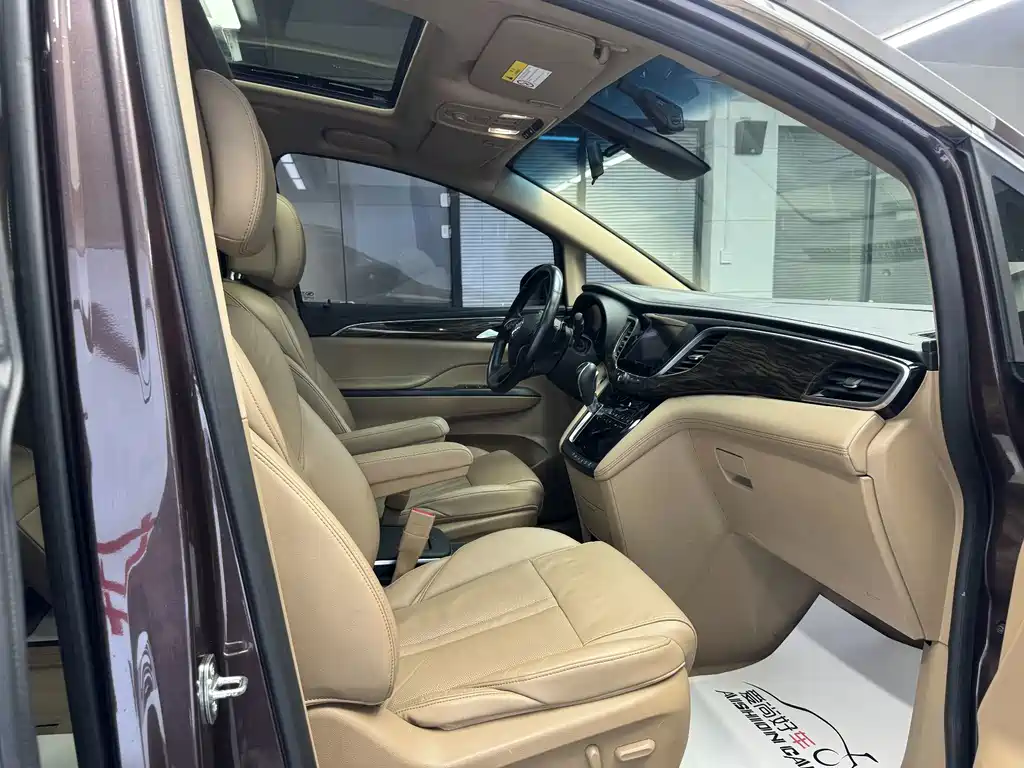 Buick GL8 — миниатюра 11
