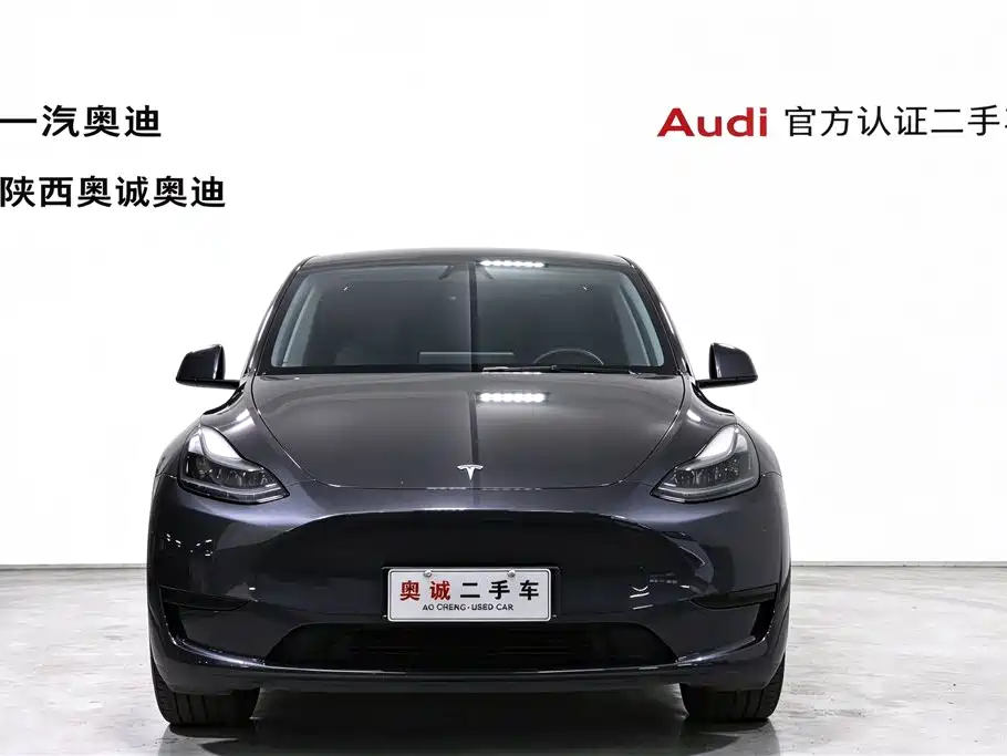 Tesla Model Y — миниатюра 2