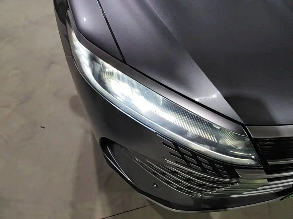BYD Sealion 05 DM-i — миниатюра 8