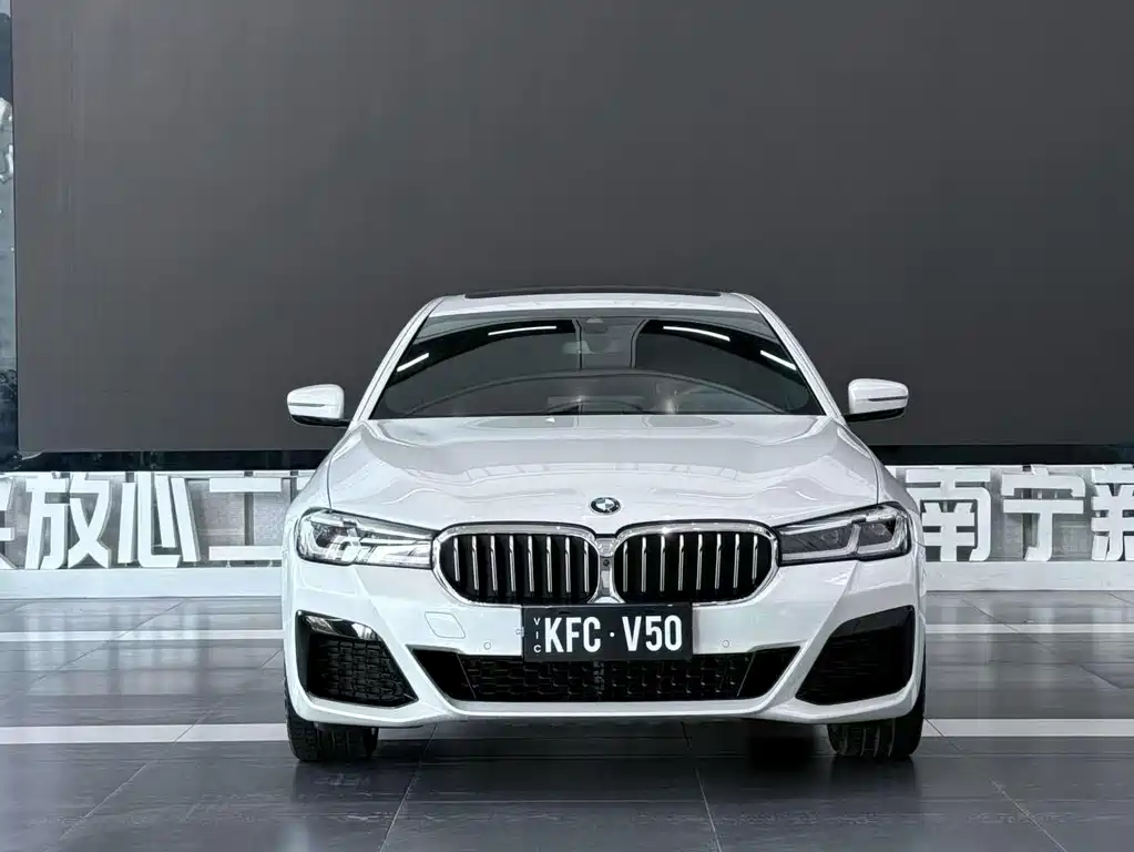 BMW 5 Series — миниатюра 2