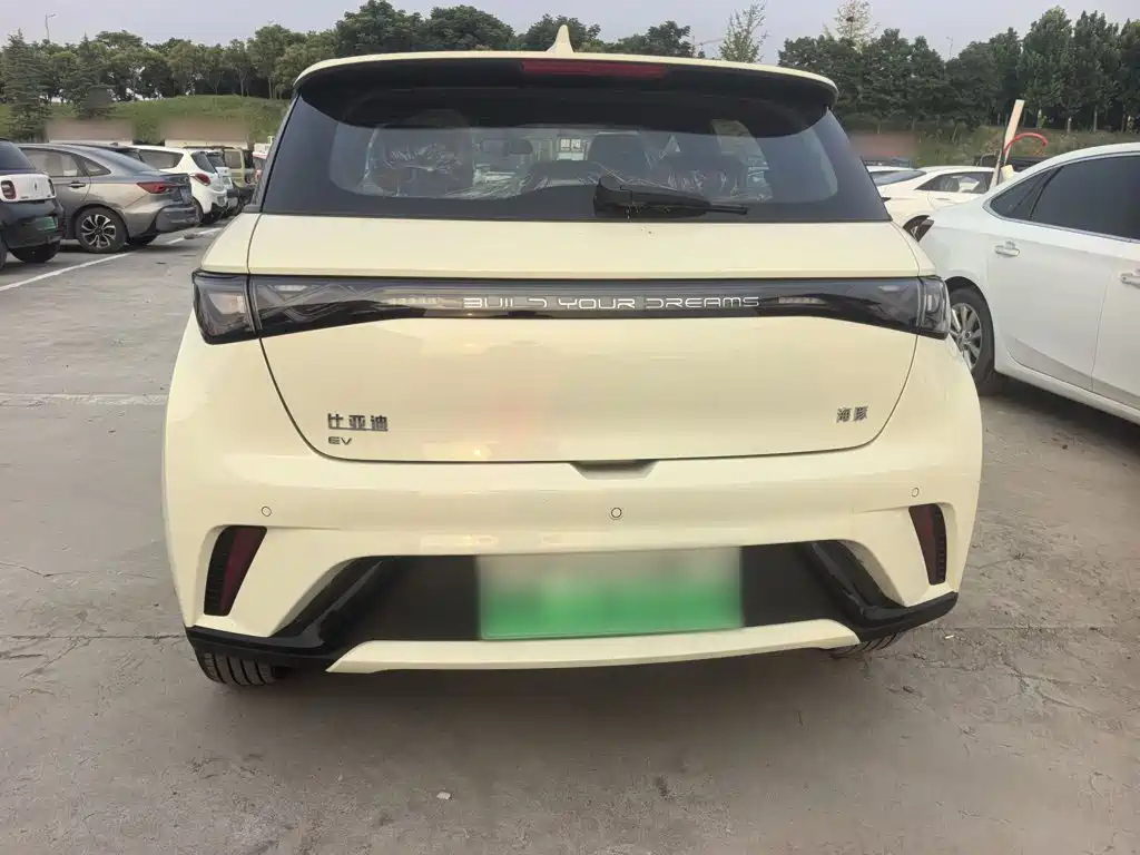 BYD Dolphin 2025 420km Freedom