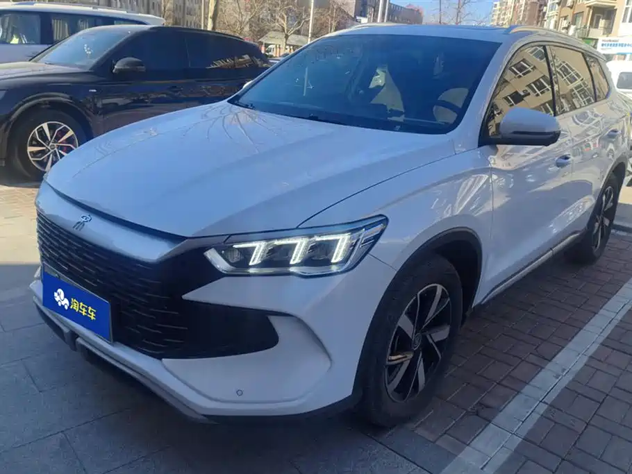 Byd Pro New Energy 2024