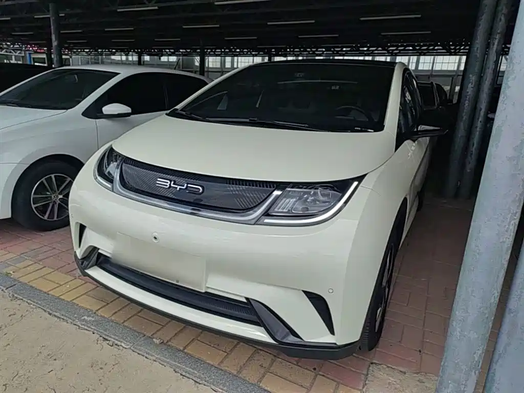 Byd Dolphin 2023