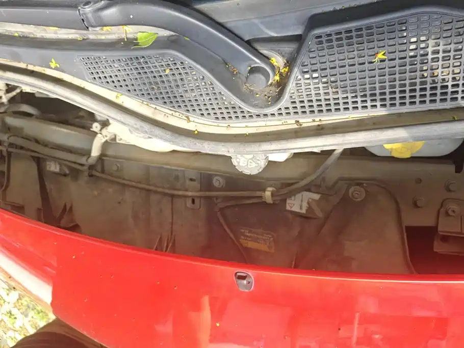 smart Smart Forfour — миниатюра 10