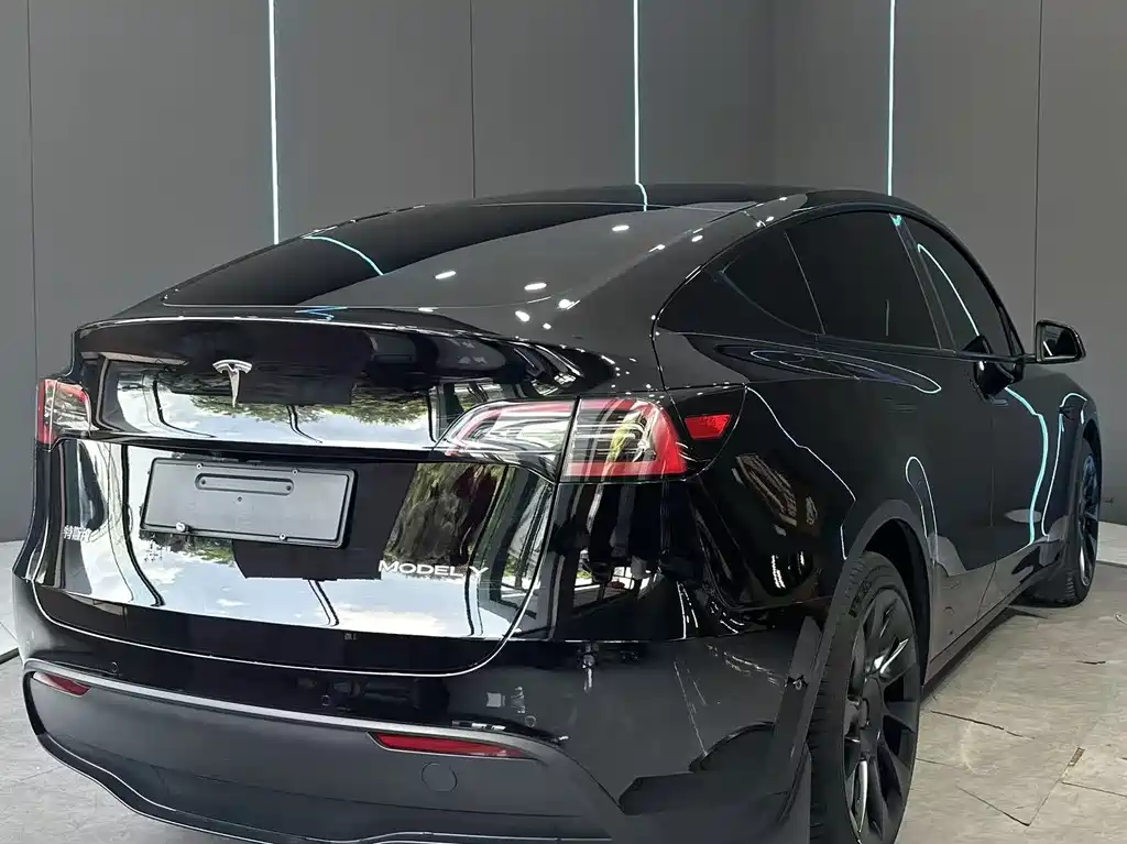 Tesla Model Y — миниатюра 6