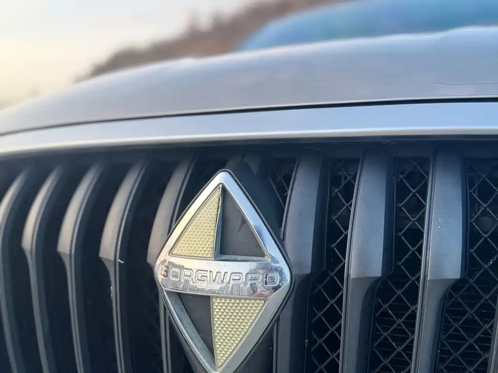 Borgward BX5 — миниатюра 20