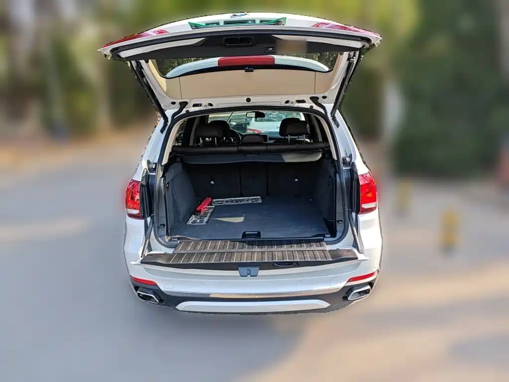 BMW X5 (Import) — миниатюра 20
