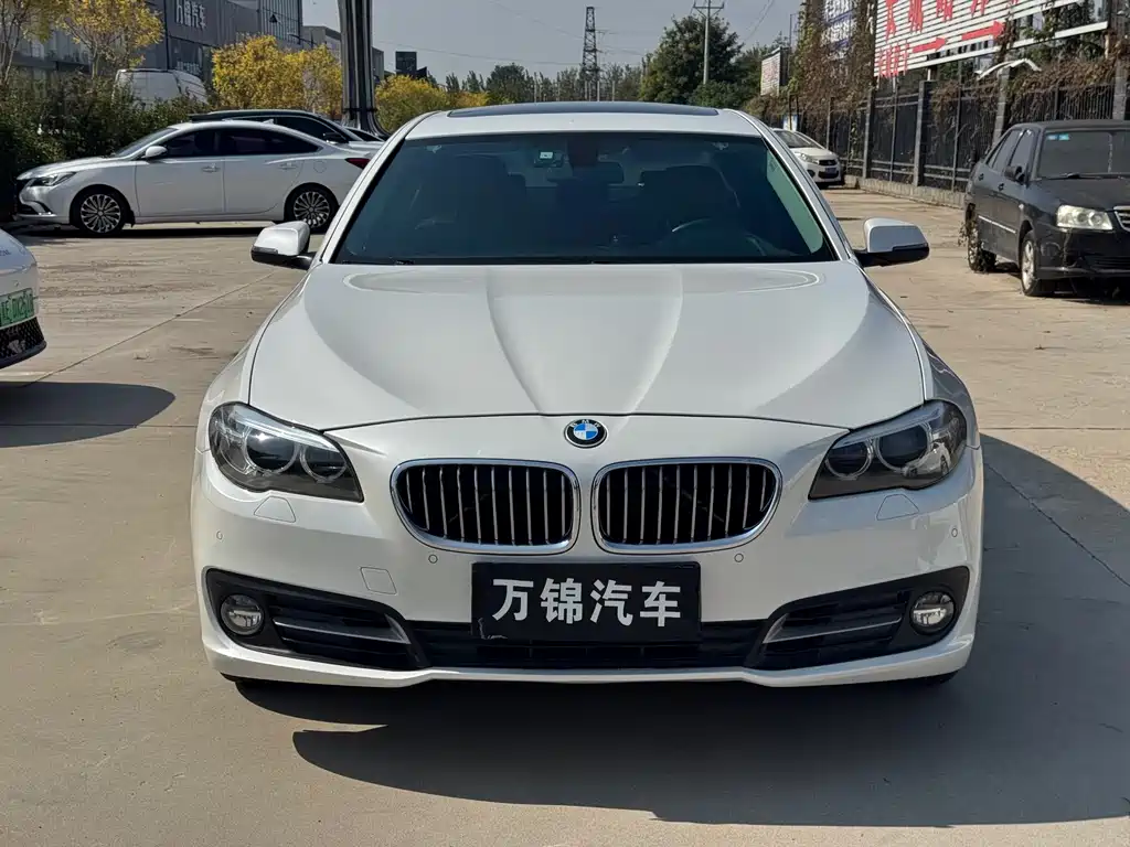 BMW 5 Series — миниатюра 3