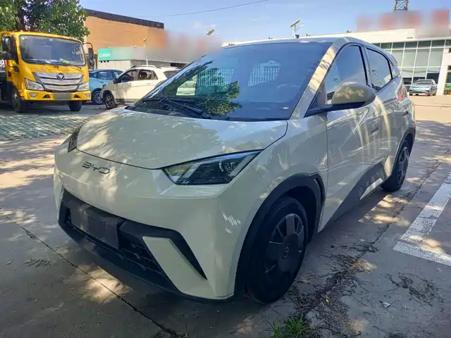 2024 BYD Seagull