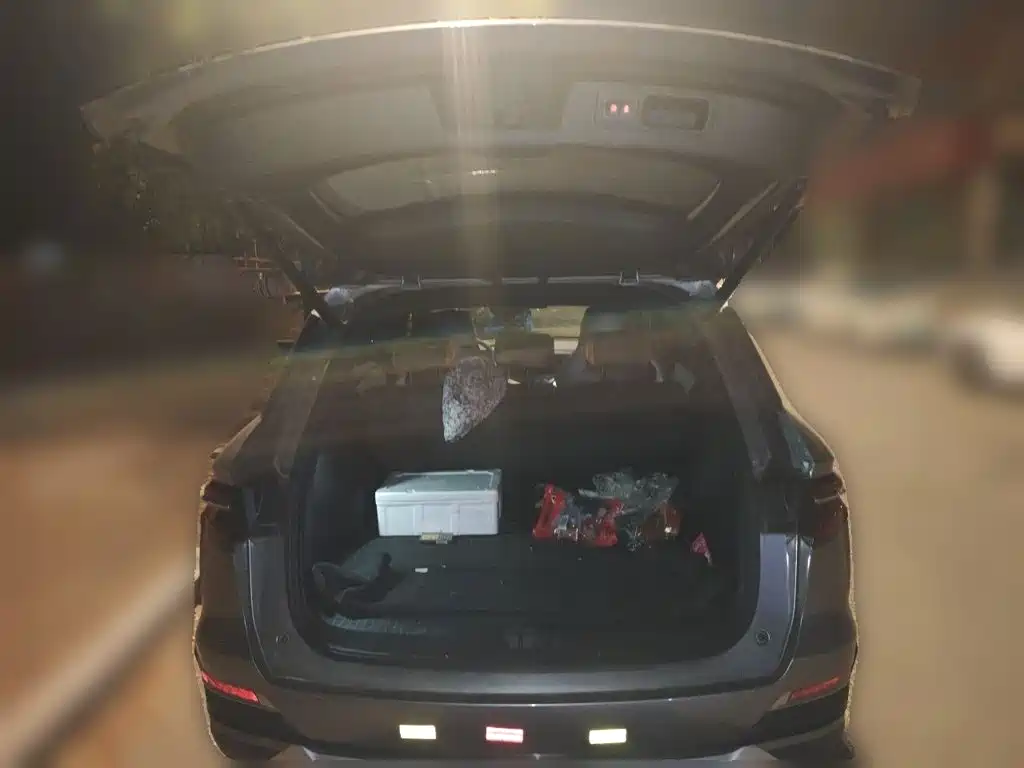 BYD Pro New Energy — миниатюра 15
