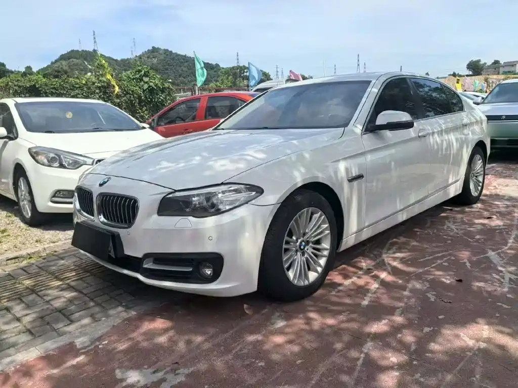 BMW 5 Series 5 2014 525Li Lead