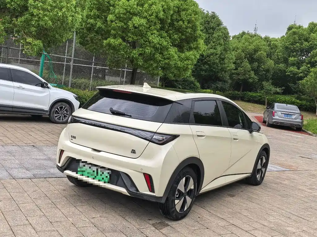 BYD Dolphin 2024 420km Fashion