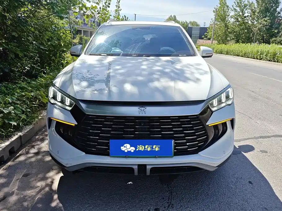 BYD Pro New Energy — миниатюра 2