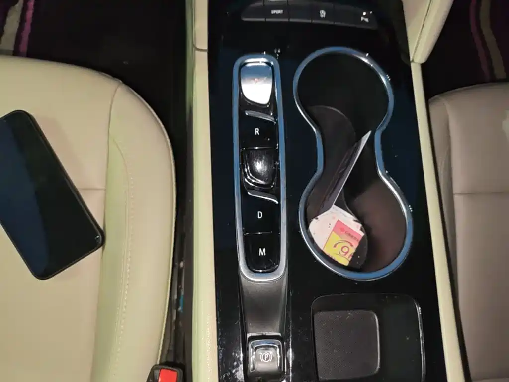 Buick Regal — миниатюра 14