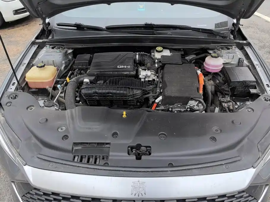 BYD Qin Plus PLUS 2024 DM-i 55KM Lead