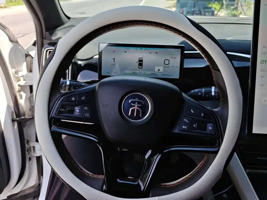 BYD Pro New Energy — миниатюра 15
