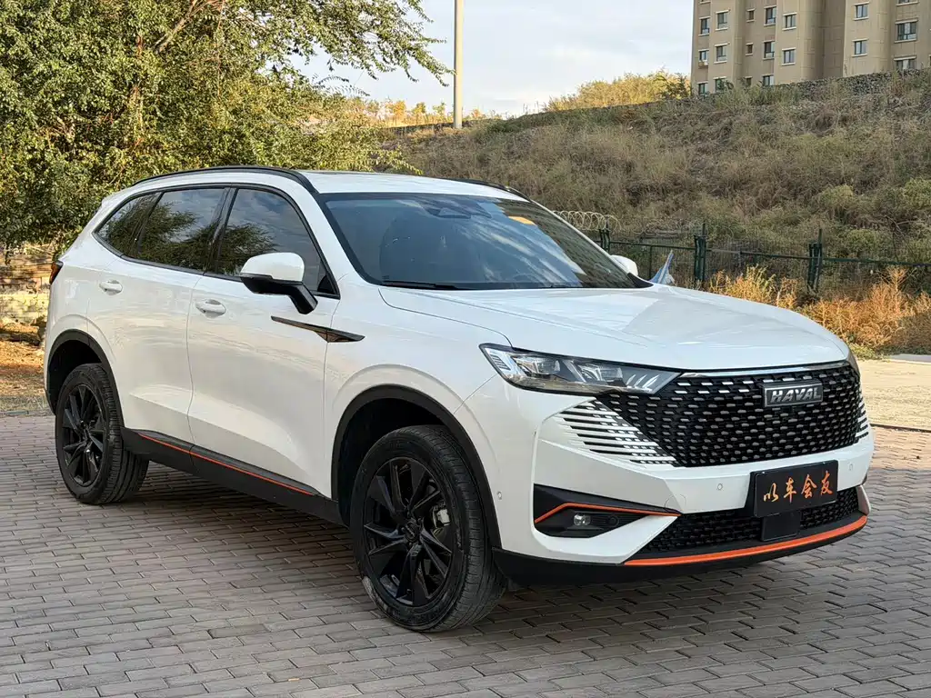 Haval H6 — миниатюра 3