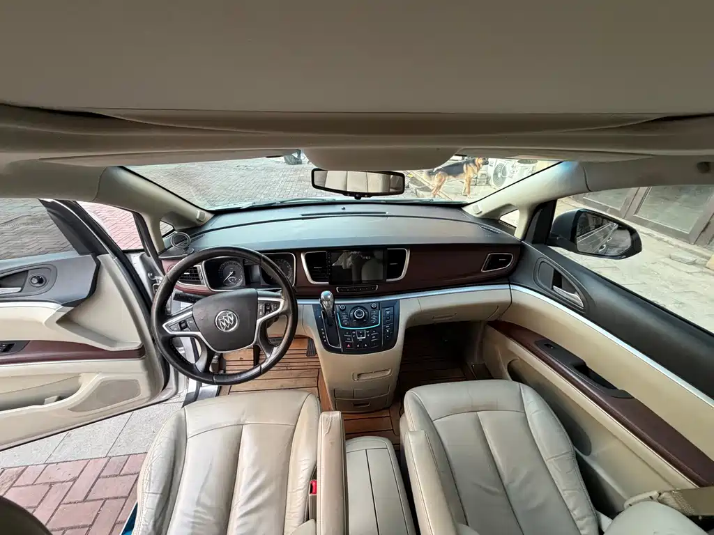 Buick GL8 — миниатюра 16