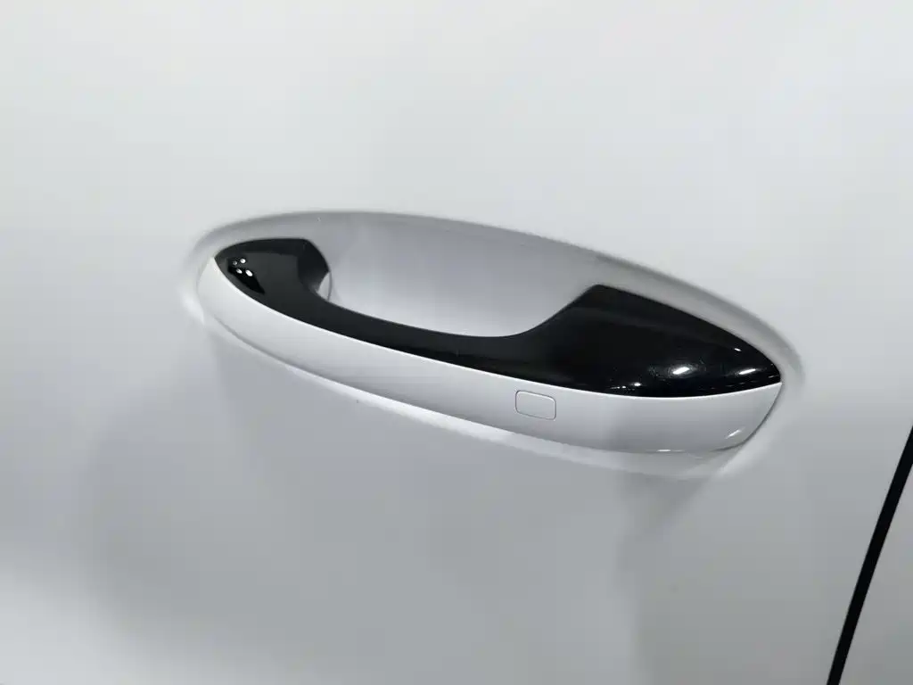 Denza Denza X — миниатюра 18