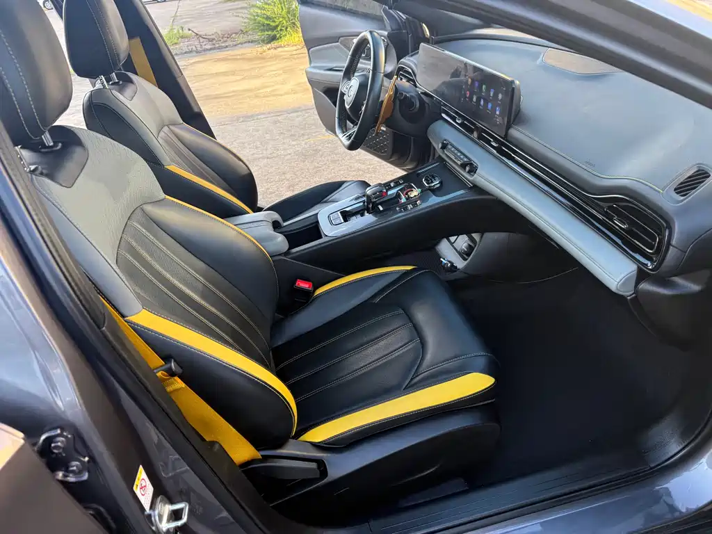 GAC Motor Shadow Leopard — миниатюра 12