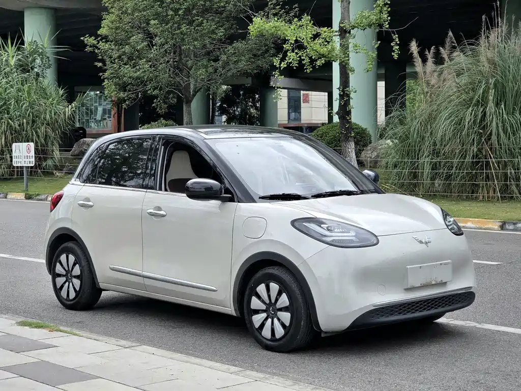Wuling Binguo 2024 333km Enjoy