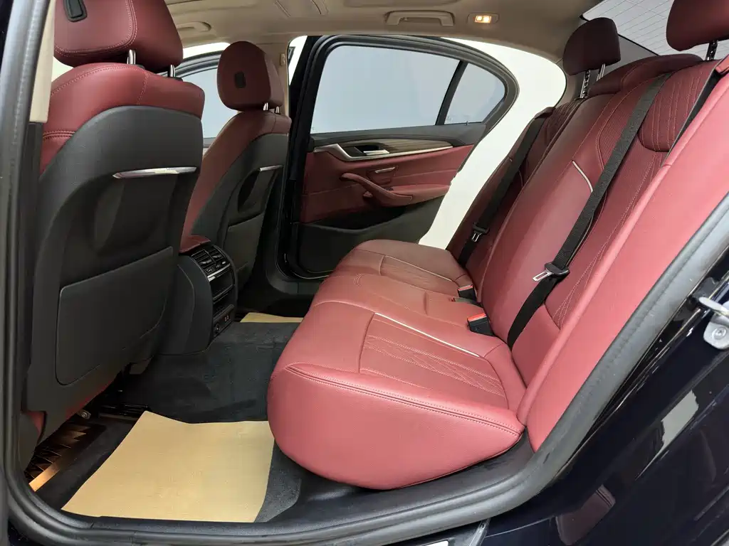 BMW 5 Series 5 2021 530Li Lead Luxury