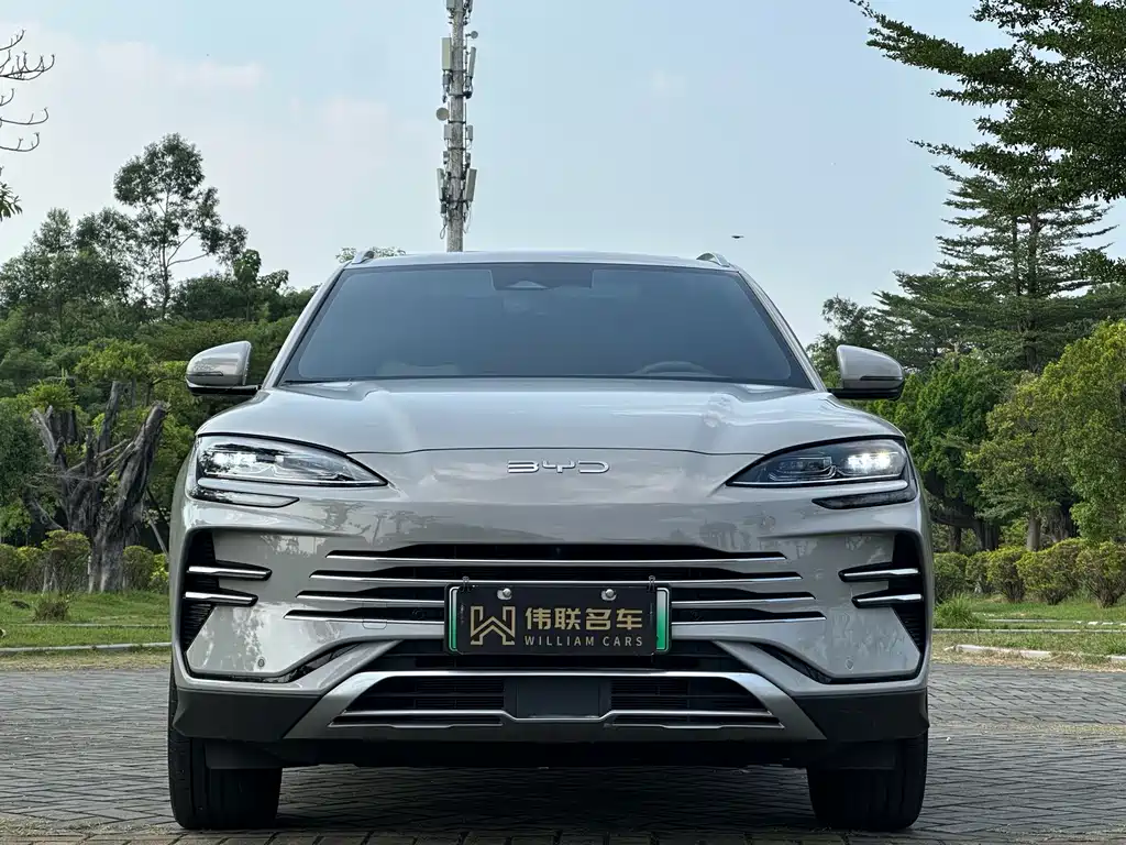 BYD PLUS New Energy — миниатюра 2
