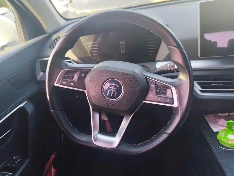 BYD Pro — миниатюра 15