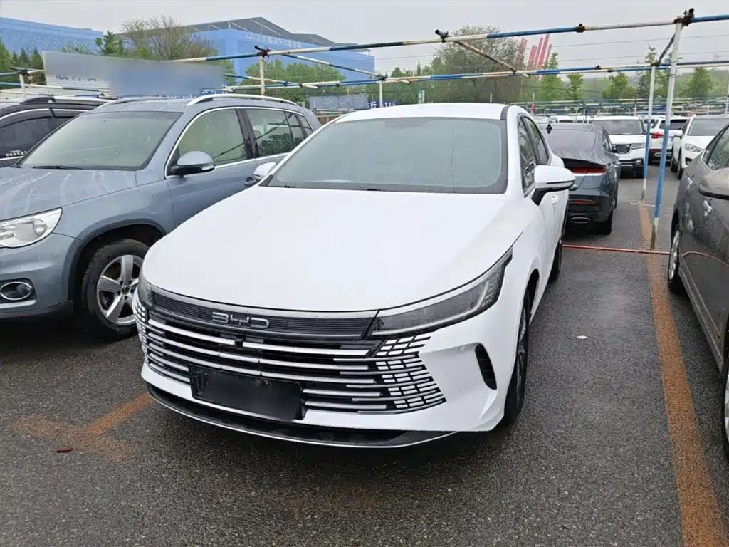 BYD Destroyer 05 2024 DM-i 55KM Luxury