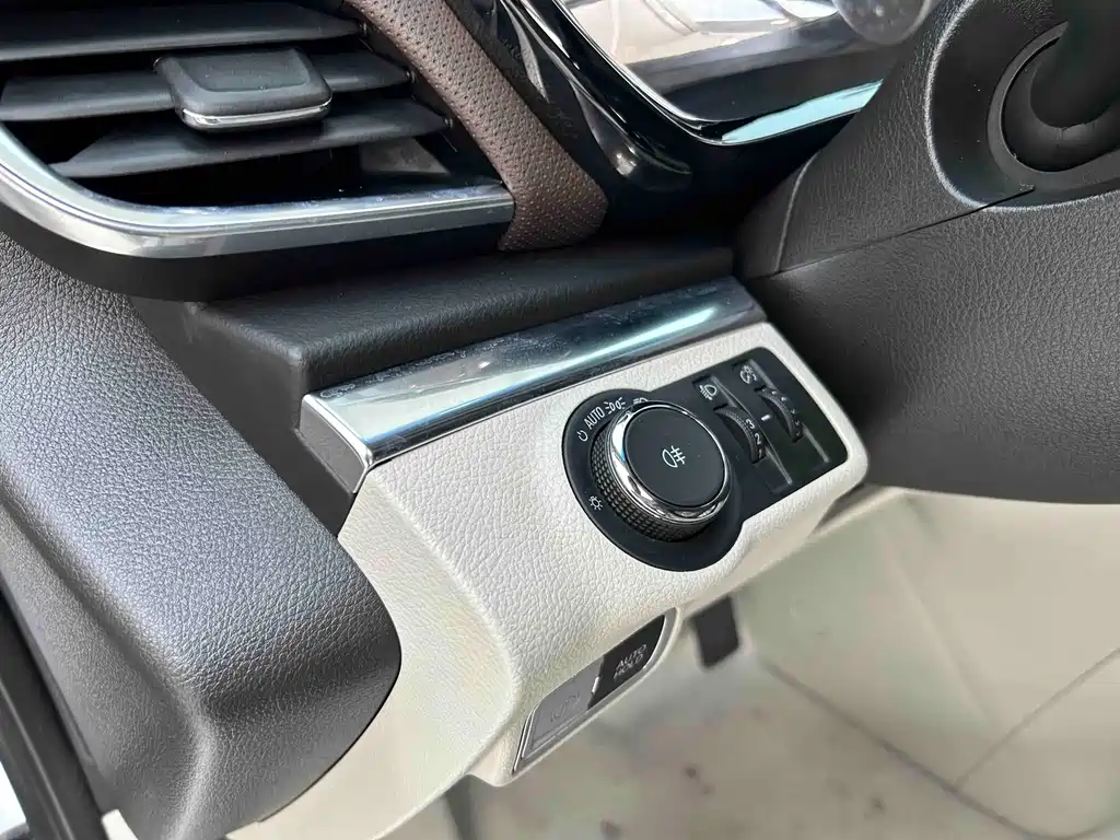 Buick GL8 — миниатюра 15