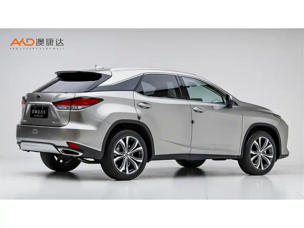 Lexus RX 2020 300 Elegant VI