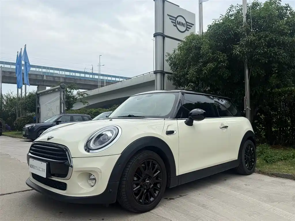 Mini Mini 2019