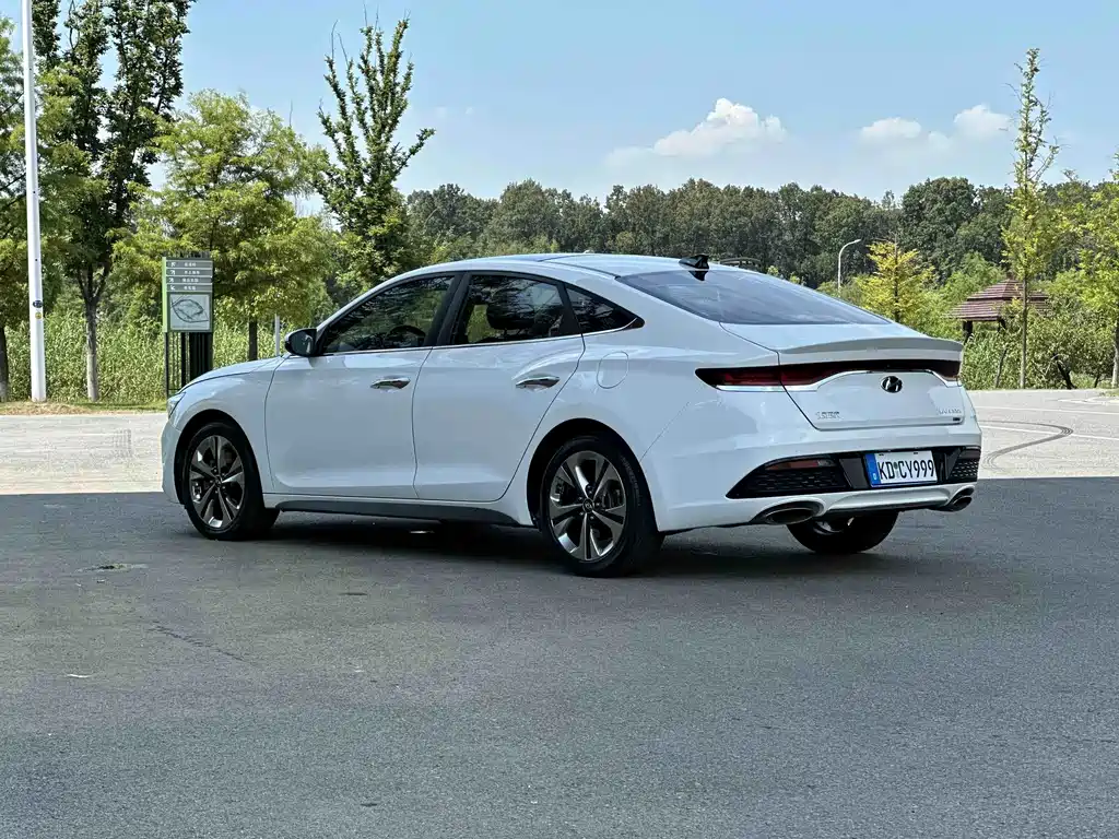 Hyundai Fista — миниатюра 18