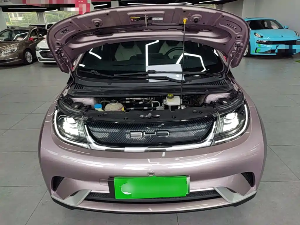 BYD Dolphin - фото 20
