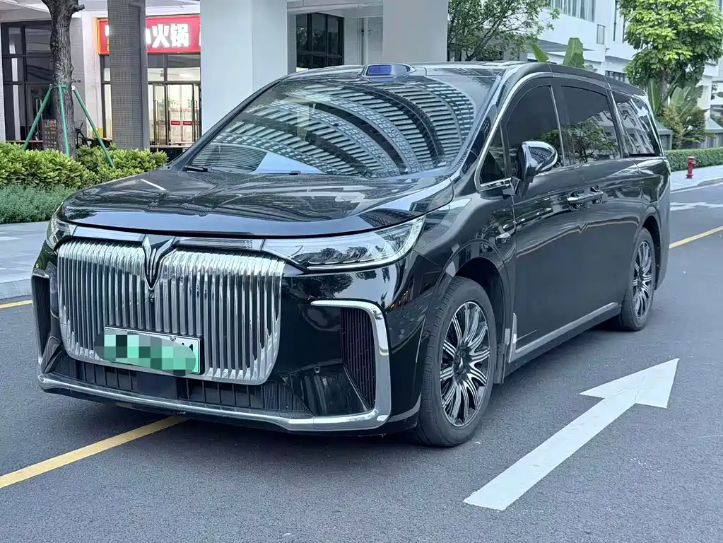 Voyah 2025 EV