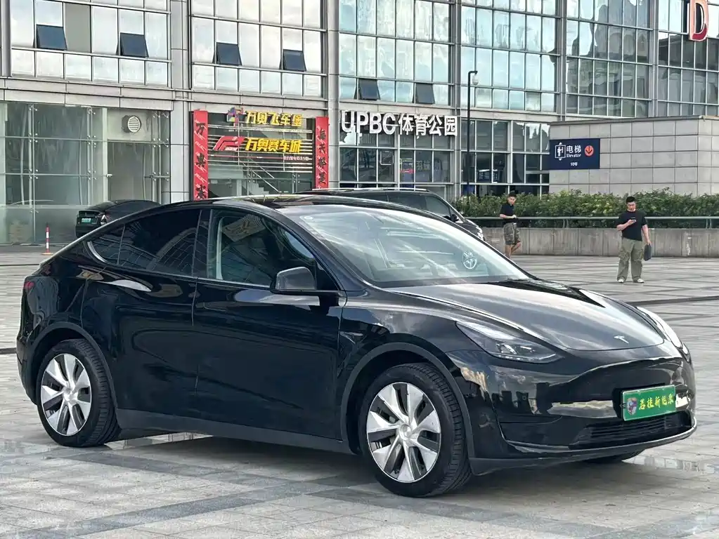 Tesla Model Y — миниатюра 3
