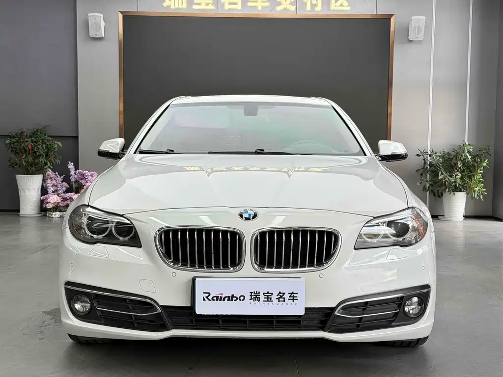 BMW 5 SERIES