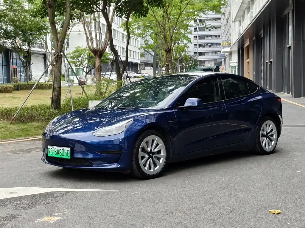 Tesla Model 3 2021