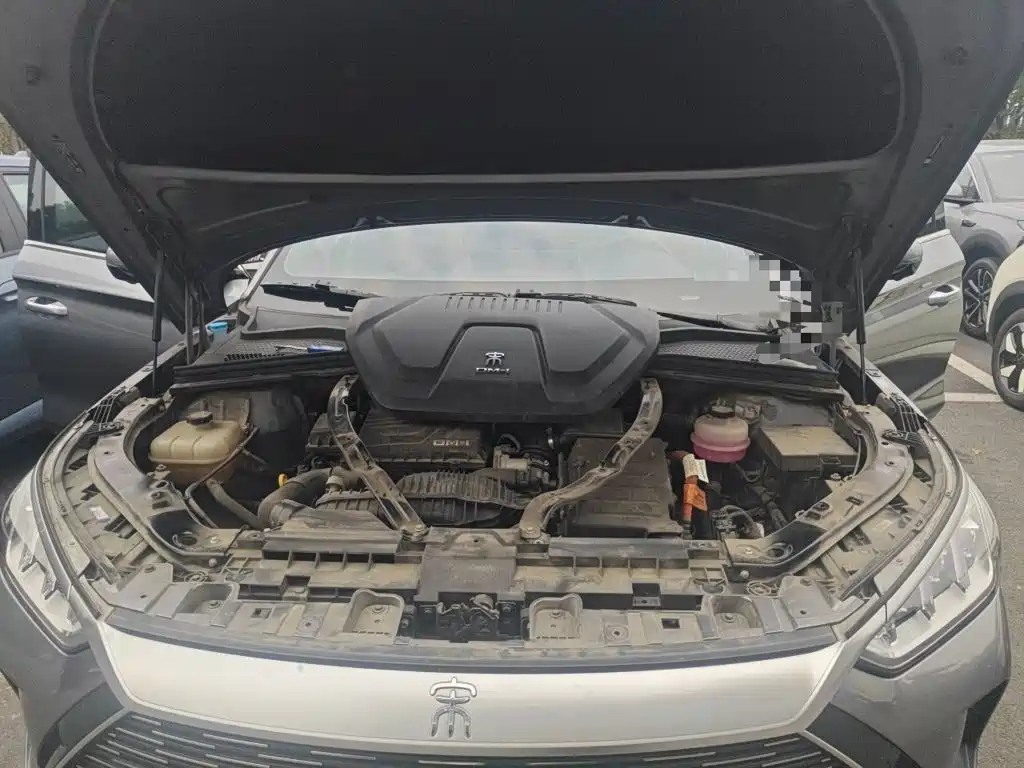 BYD PLUS New Energy — миниатюра 11