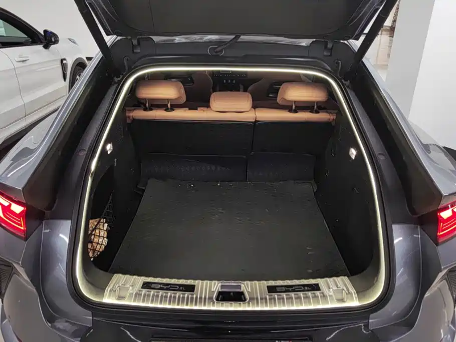 BYD L EV — миниатюра 4