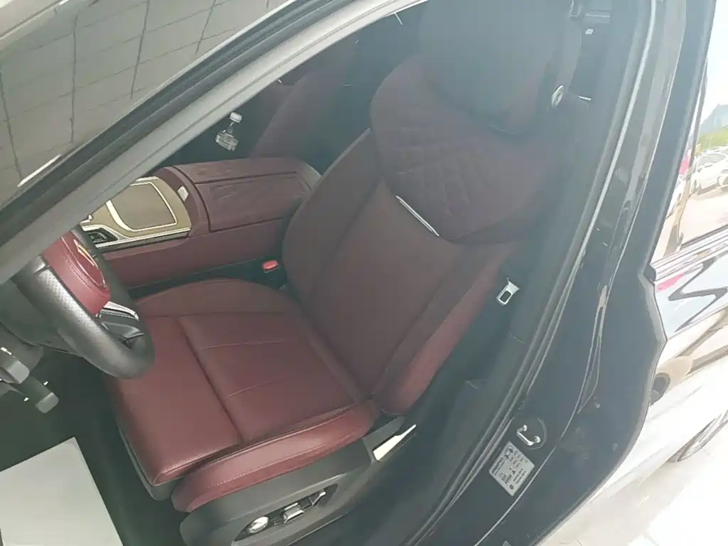 Hongqi Hongqi E-HS9 — миниатюра 15
