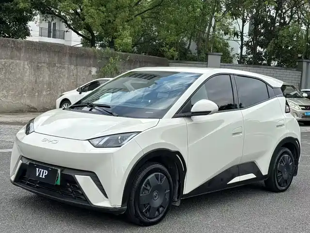 2024 BYD Seagull