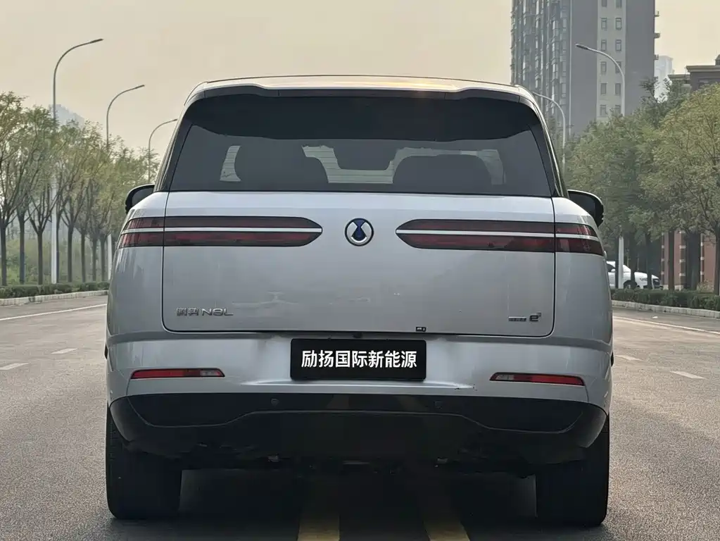 Denza Denza N8L — миниатюра 8
