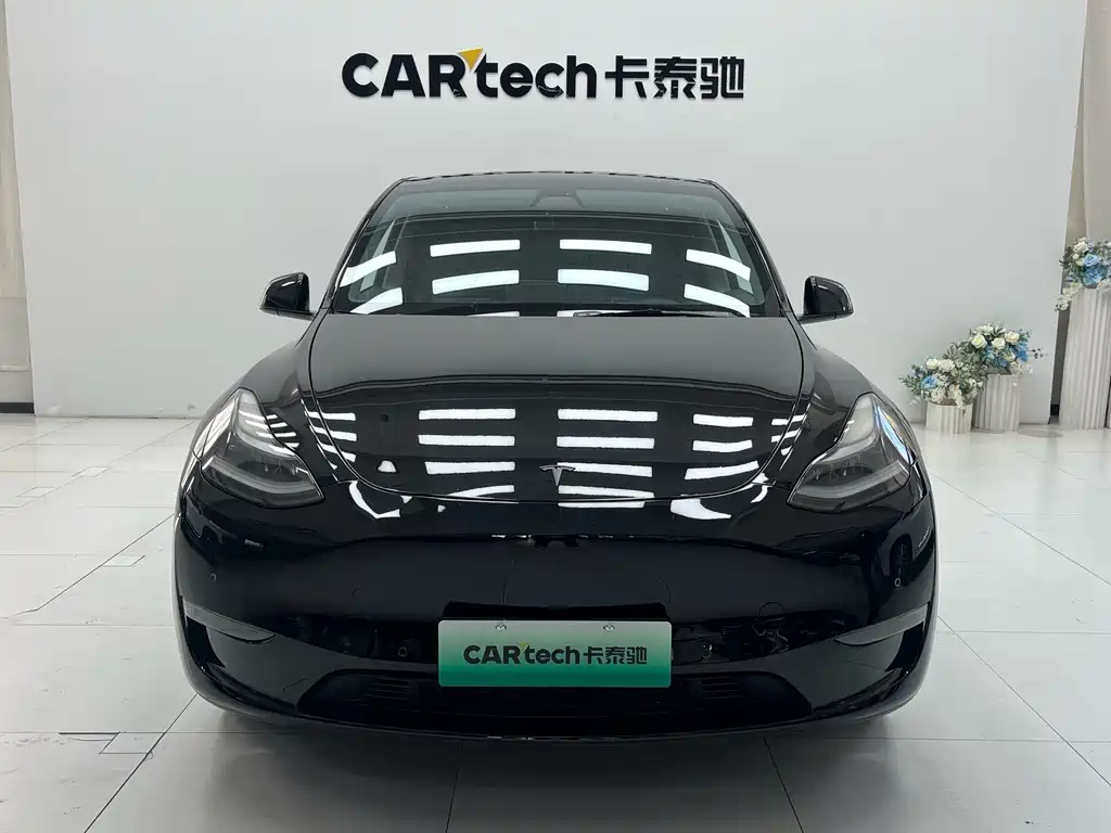Tesla Model Y — миниатюра 2
